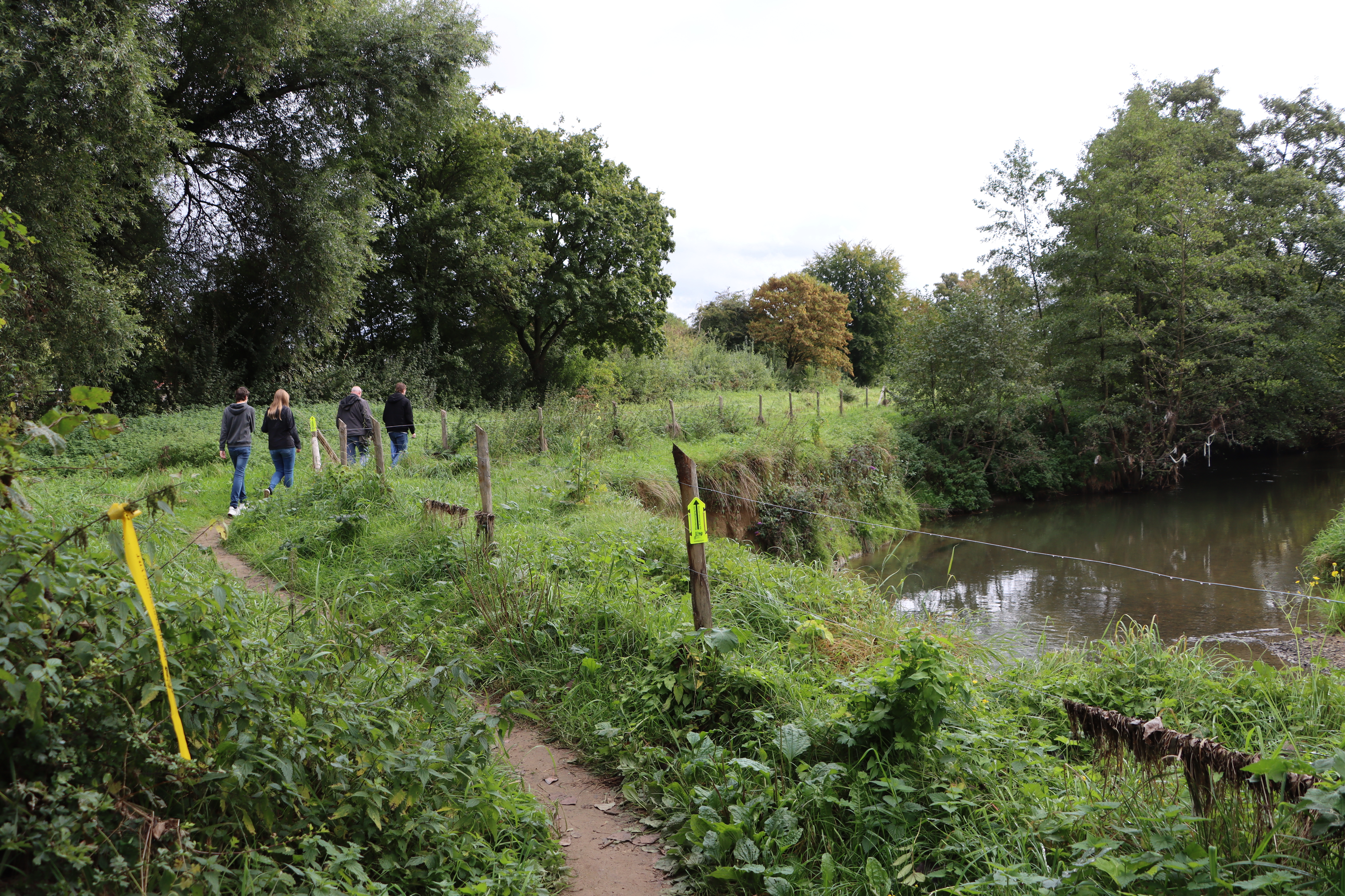 4 mensen wandelen in de natuur