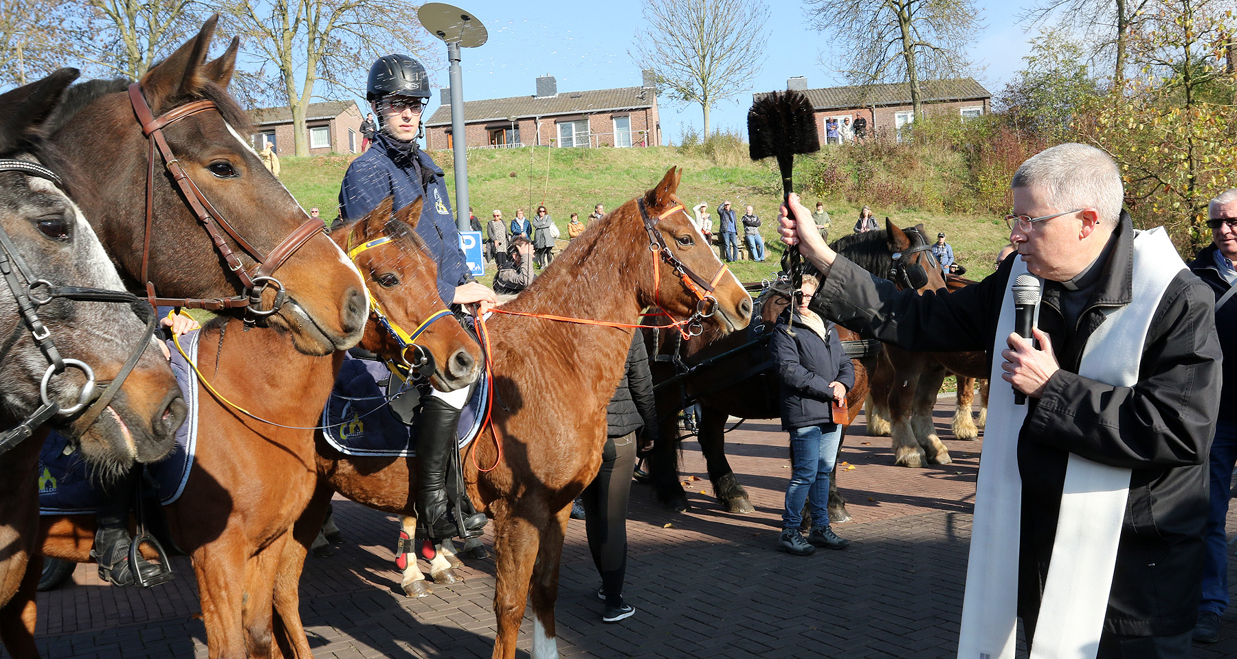 Pastoor zegent diverse paarden voor het gemeentehuis