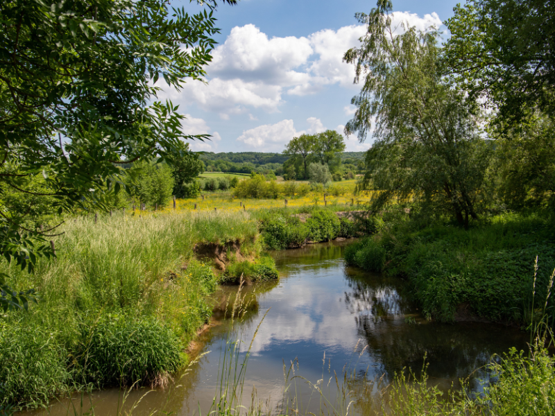onttrekkingsverbod waterschap
