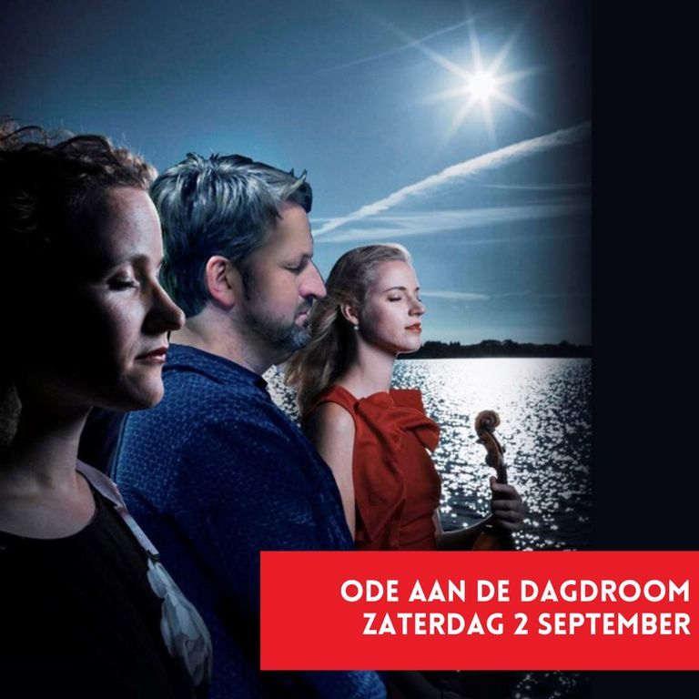 ode aan de dagdroom kunstdagen wittem