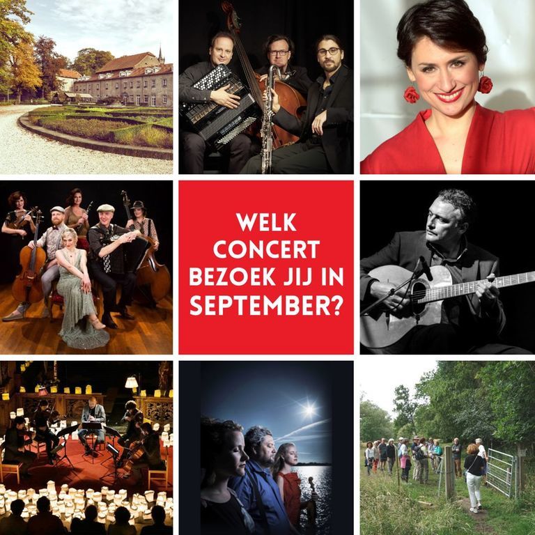 concerten kunstdagen wittem