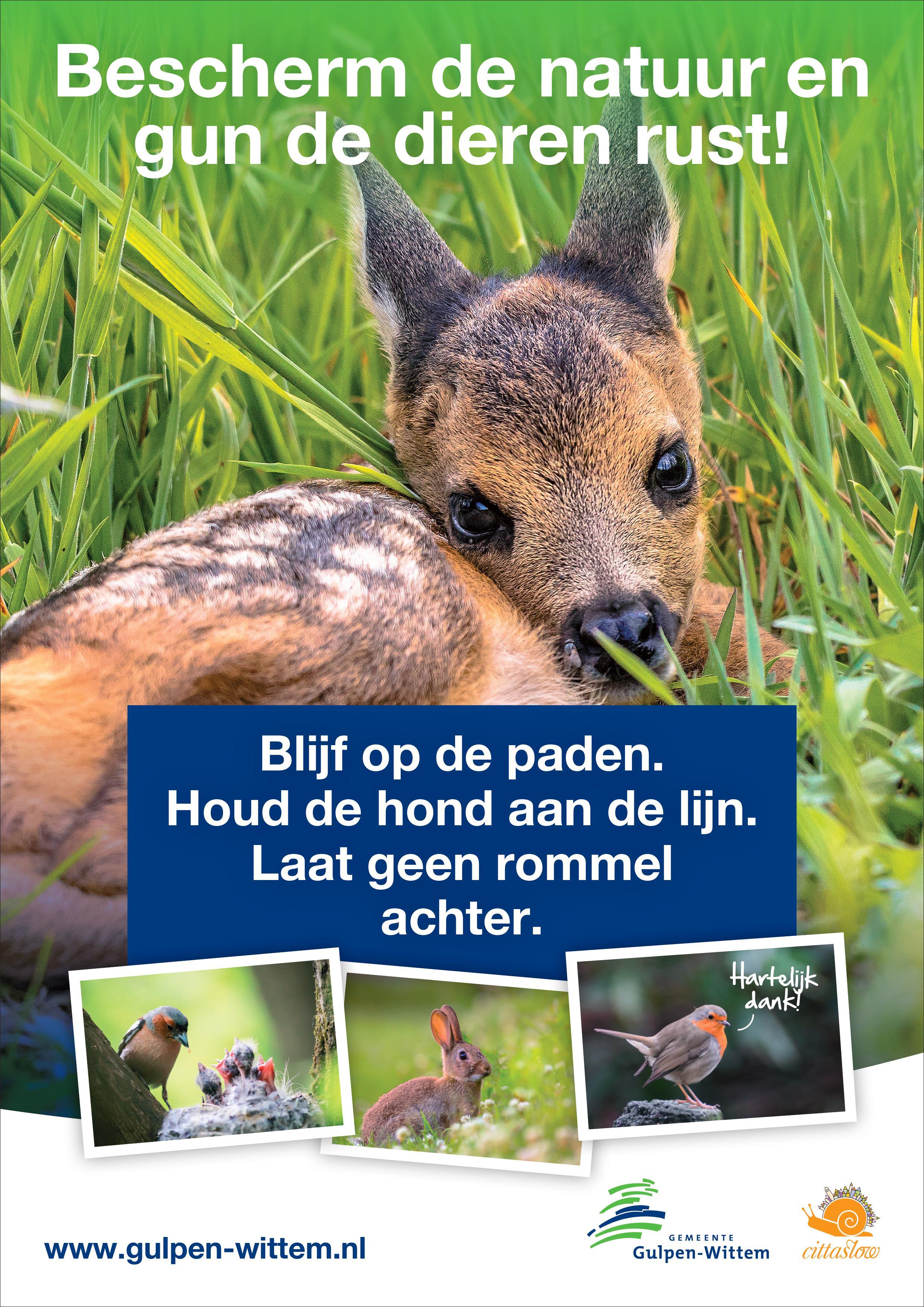 Bescherm de natuur. Broedseizoen dieren flyer 