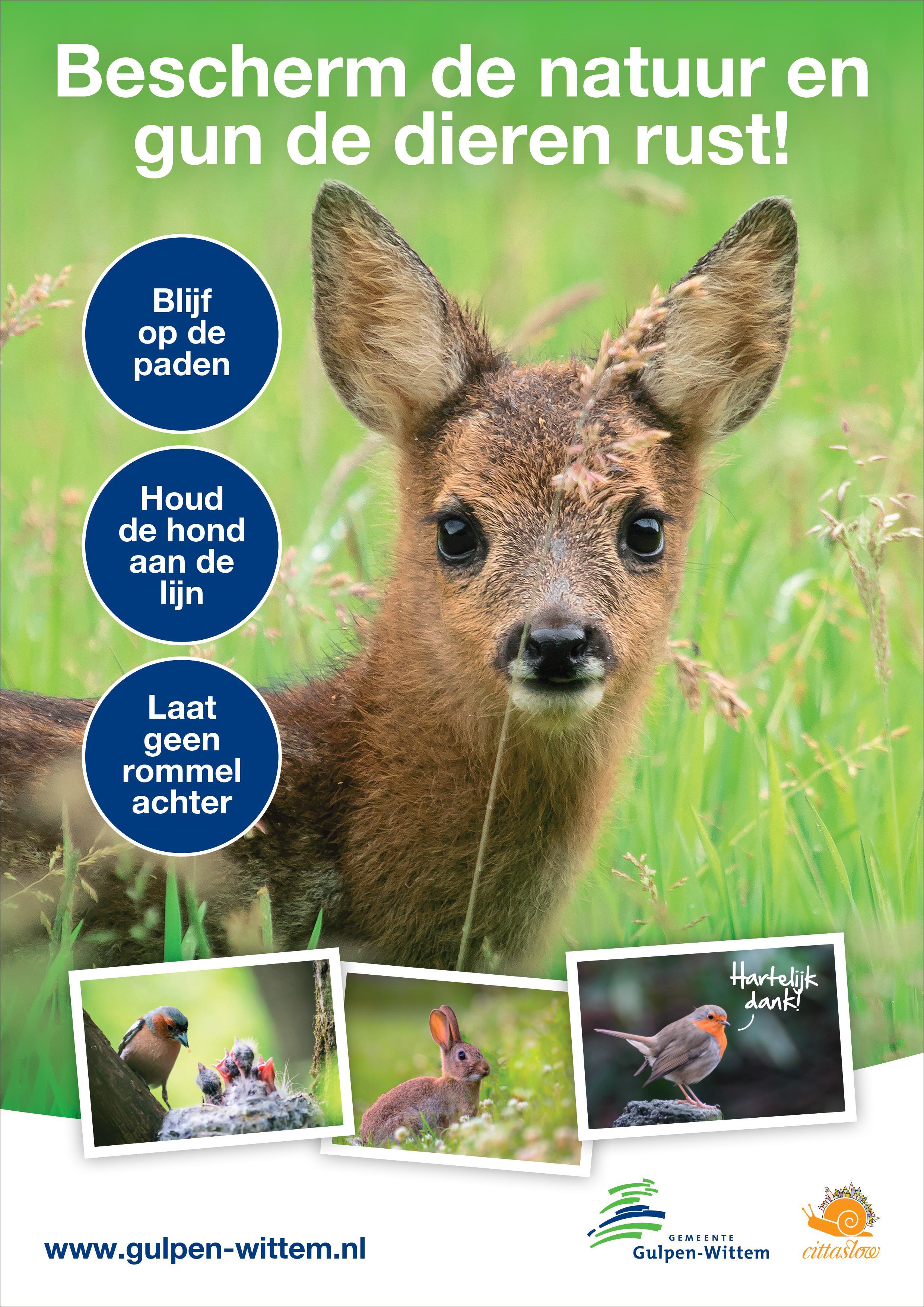 broedseizoen dieren fyer