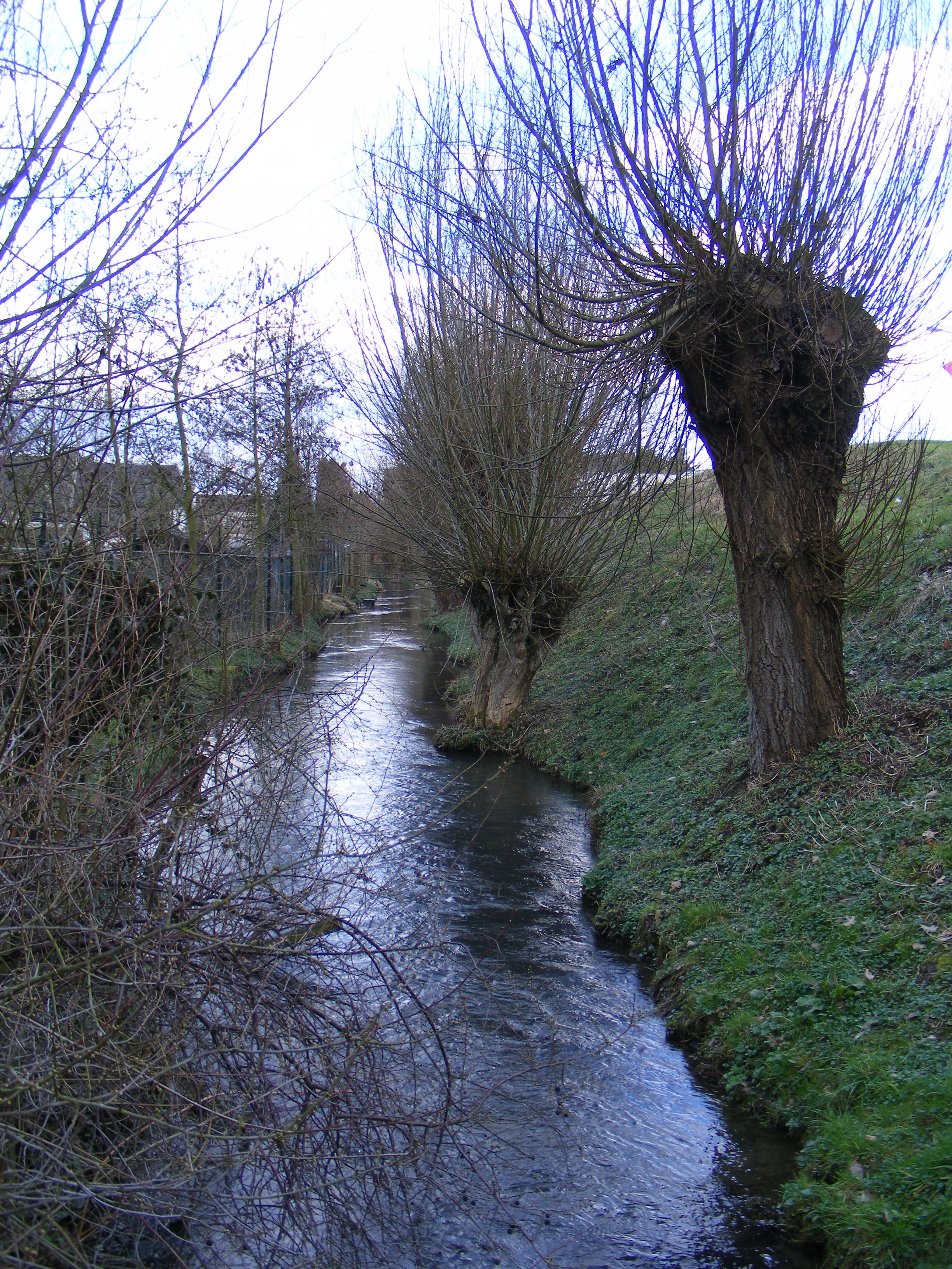 midweekwandeltocht