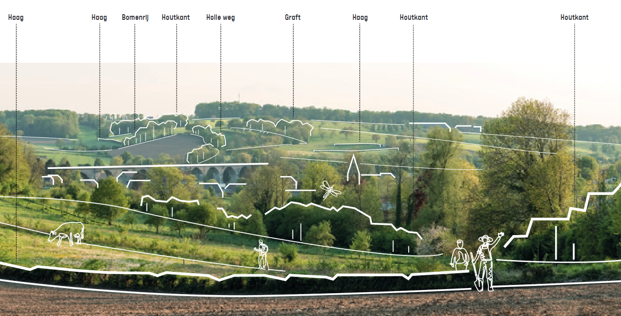 landschap met heuvels, bomen, gras